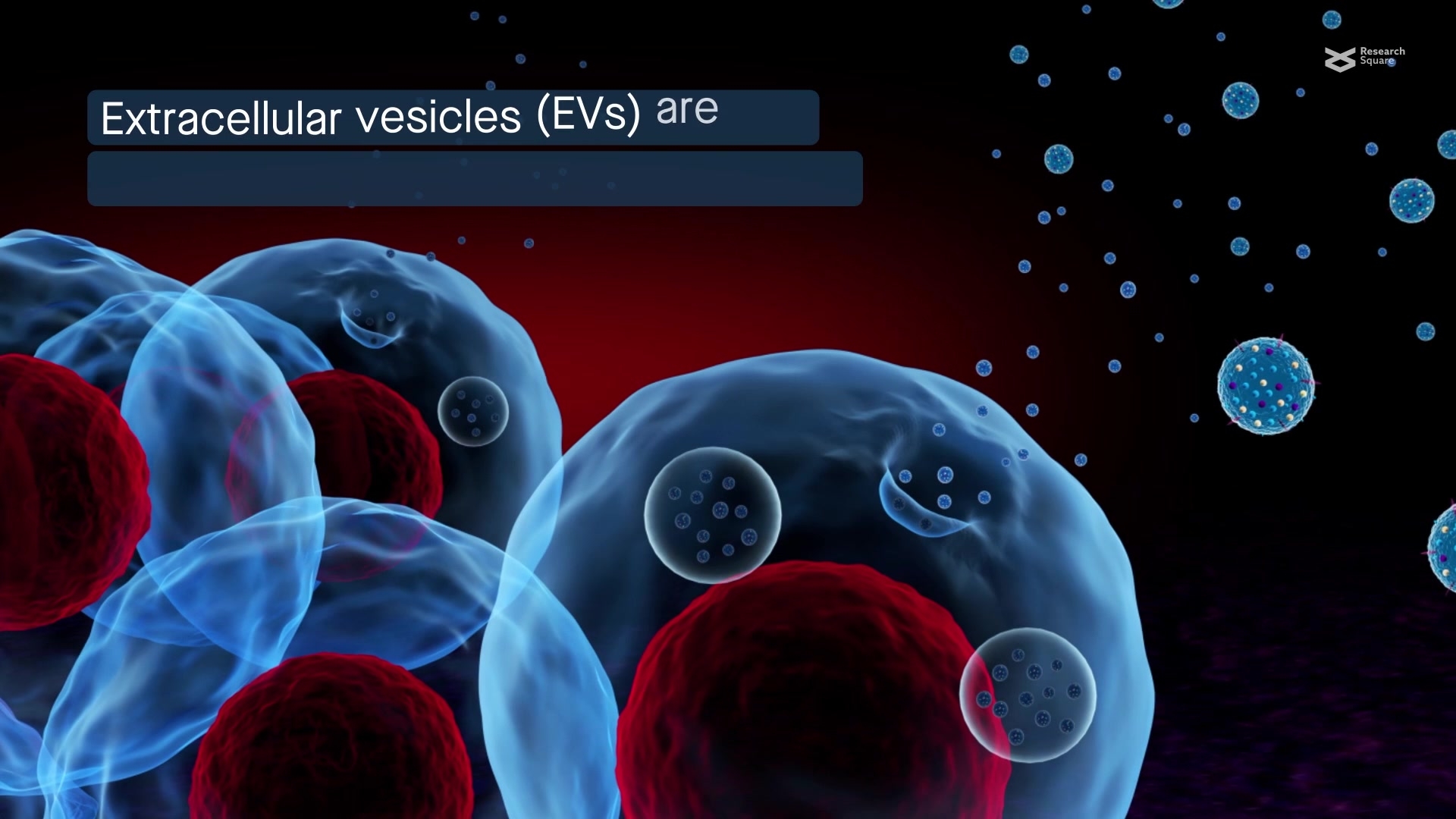 Looking into extracellular vesicles: essential components of cell communication